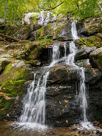 Shenandoah National Park - 2025