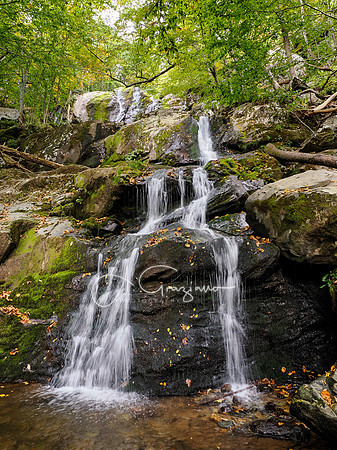 Shenandoah National Park - 2025