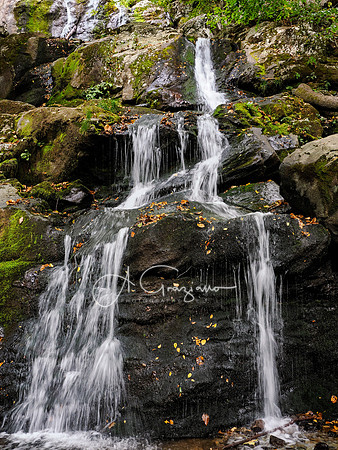 Shenandoah National Park - 2025