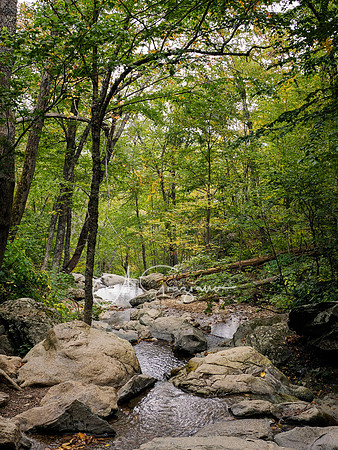 Shenandoah National Park - 2025