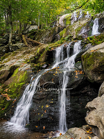 Shenandoah National Park - 2025