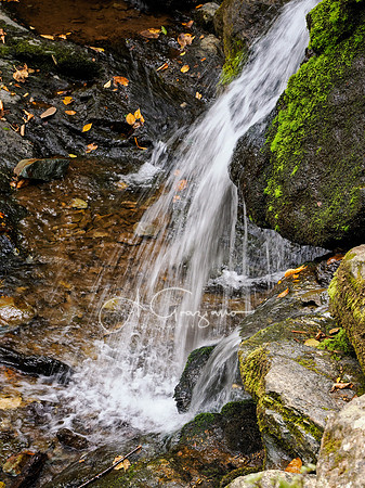 Shenandoah National Park - 2025