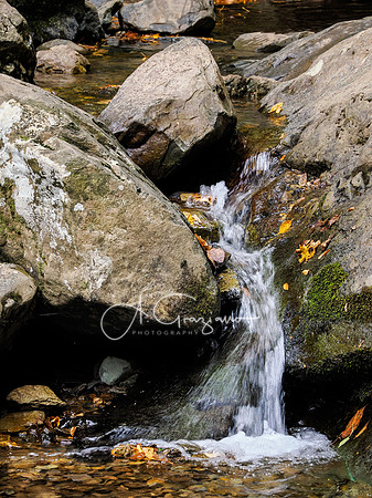 Shenandoah National Park - 2025