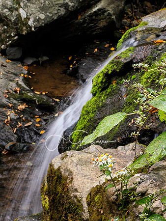 Shenandoah National Park - 2025