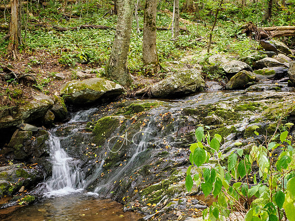 Shenandoah National Park - 2025