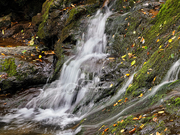 Shenandoah National Park - 2025