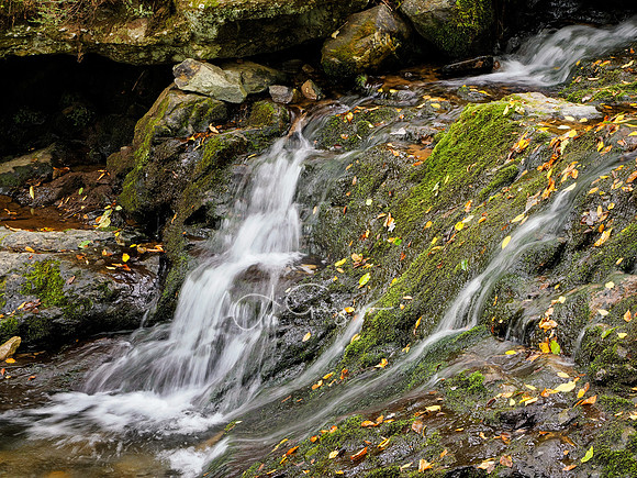 Shenandoah National Park - 2025
