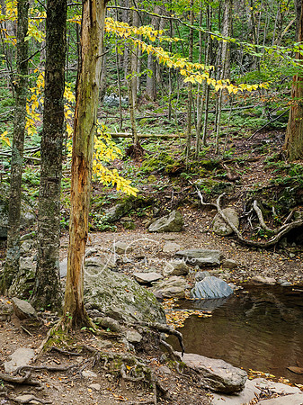 Shenandoah National Park - 2025