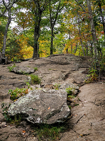 Shenandoah National Park - 2025