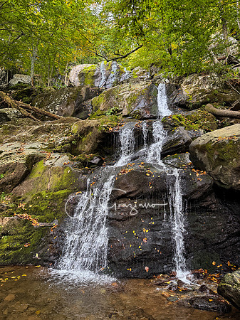 Shenandoah National Park - 2025