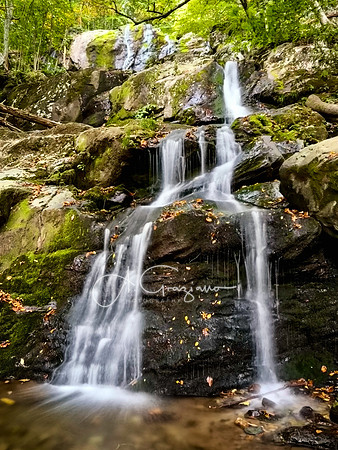 Shenandoah National Park - 2025