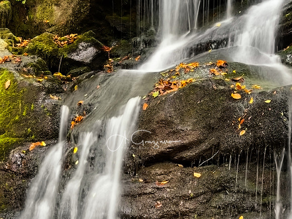 Shenandoah National Park - 2025
