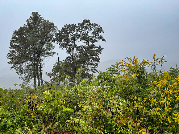 Shenandoah National Park - 2025