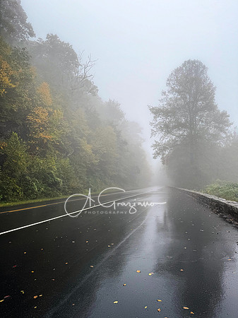 Shenandoah National Park - 2025