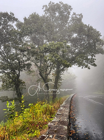 Shenandoah National Park - 2025