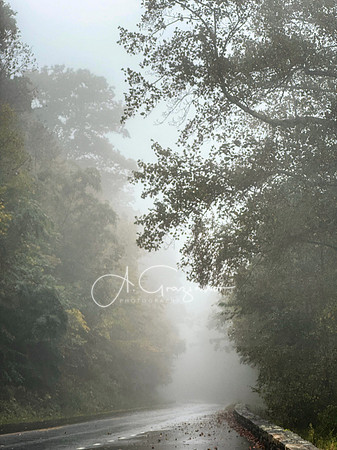 Shenandoah National Park - 2025