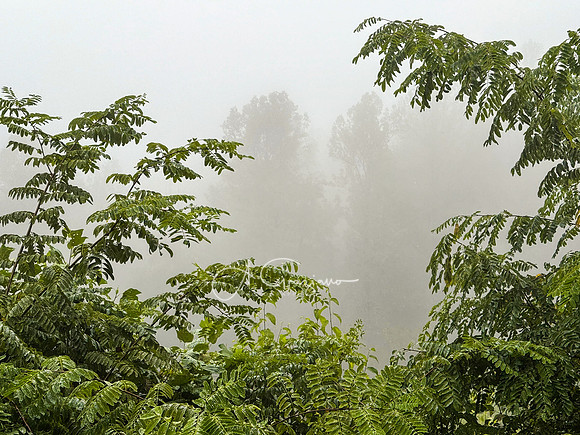 Shenandoah National Park - 2025