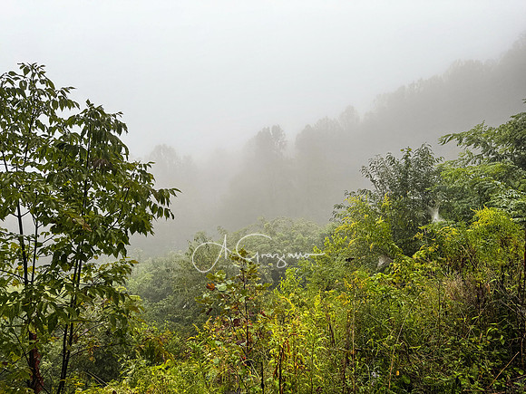 Shenandoah National Park - 2025