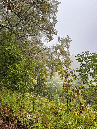 Shenandoah National Park - 2025
