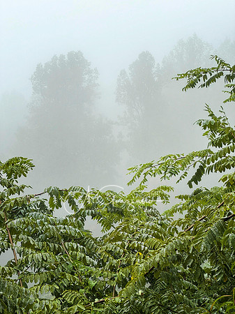 Shenandoah National Park - 2025
