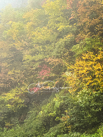 Shenandoah National Park - 2025