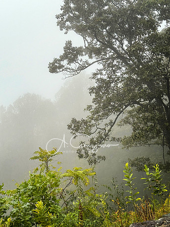 Shenandoah National Park - 2025
