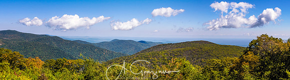 Anthony Graziano --_9180966-Pano-Edit