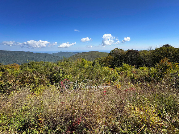 Shenandoah National Park - 2025