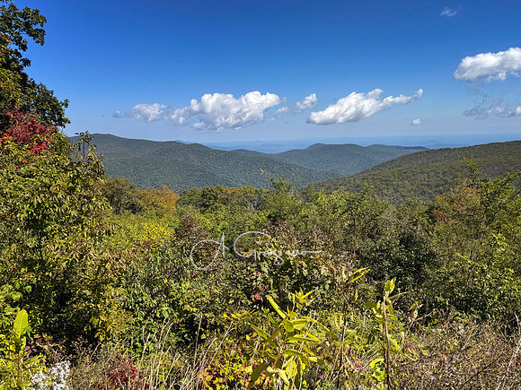 Shenandoah National Park - 2025