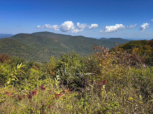 Shenandoah National Park - 2025