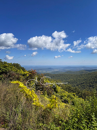 Shenandoah National Park - 2025