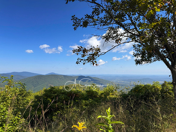 Shenandoah National Park - 2025