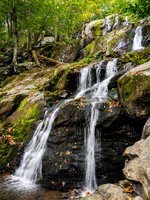 Dark Hollow Falls - Shenandoah National Park