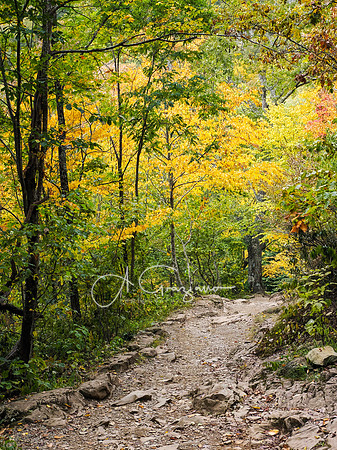Shenandoah National Park - 2025