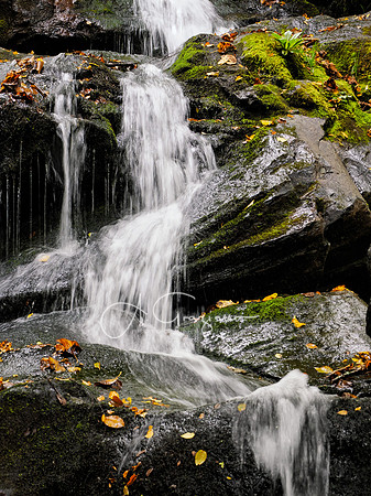 Dark Hollow Falls