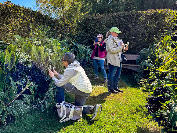 Iphone Workshop - Landcraft October 2025