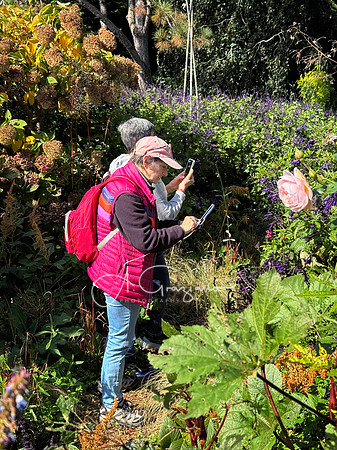 Iphone Workshop - Landcraft October 2025
