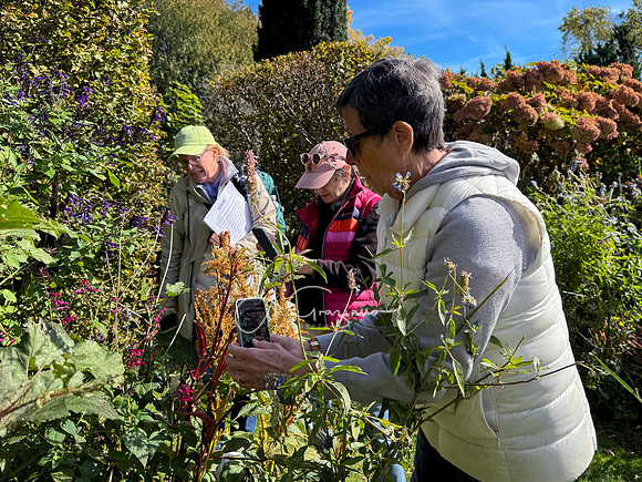 Iphone Workshop - Landcraft October 2025