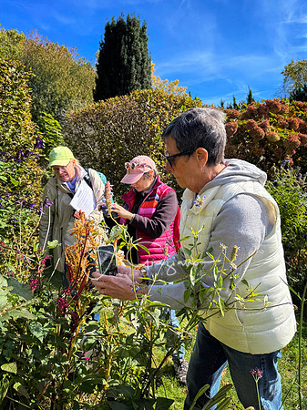 Iphone Workshop - Landcraft October 2025