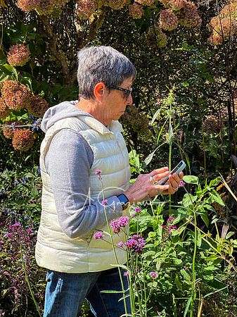 Iphone Workshop - Landcraft October 2025