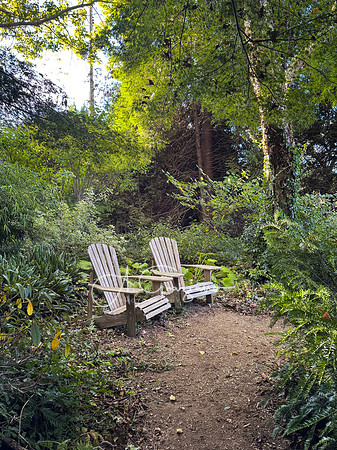 Iphone Workshop - Landcraft October 2025