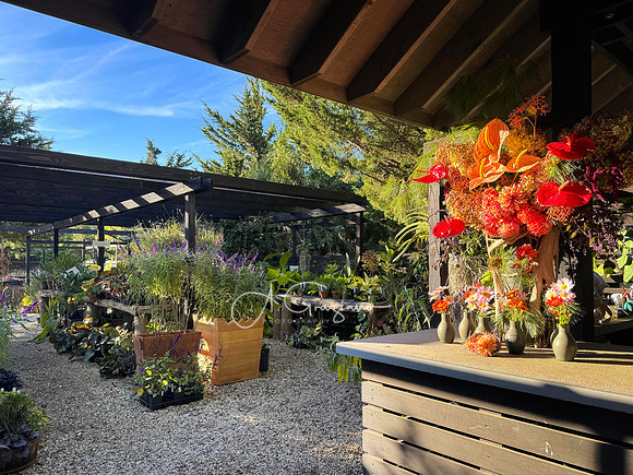 Iphone Workshop - Landcraft October 2025