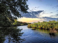 Peaceful - Wertheim Wildlife Refuge