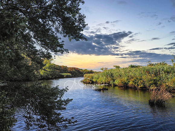 Peaceful - Wertheim Wildlife Refuge