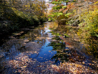 Bayard Cutting Arboretum