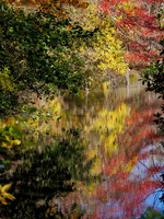 Bayard Cutting Arboretum