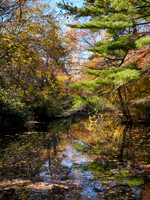 Bayard Cutting Arboretum