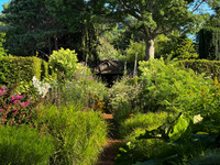 iPhone Workshop - Landcraft July 2025