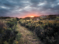 Andy Warhol Preserve, Montauk