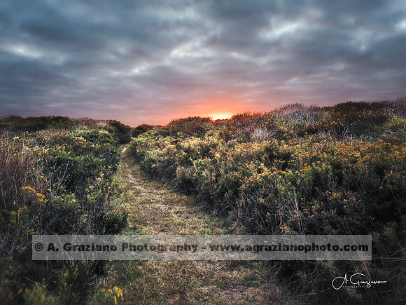 Andy Warhol Preserve, Montauk